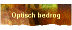 Optisch bedrog