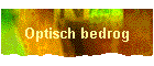 Optisch bedrog